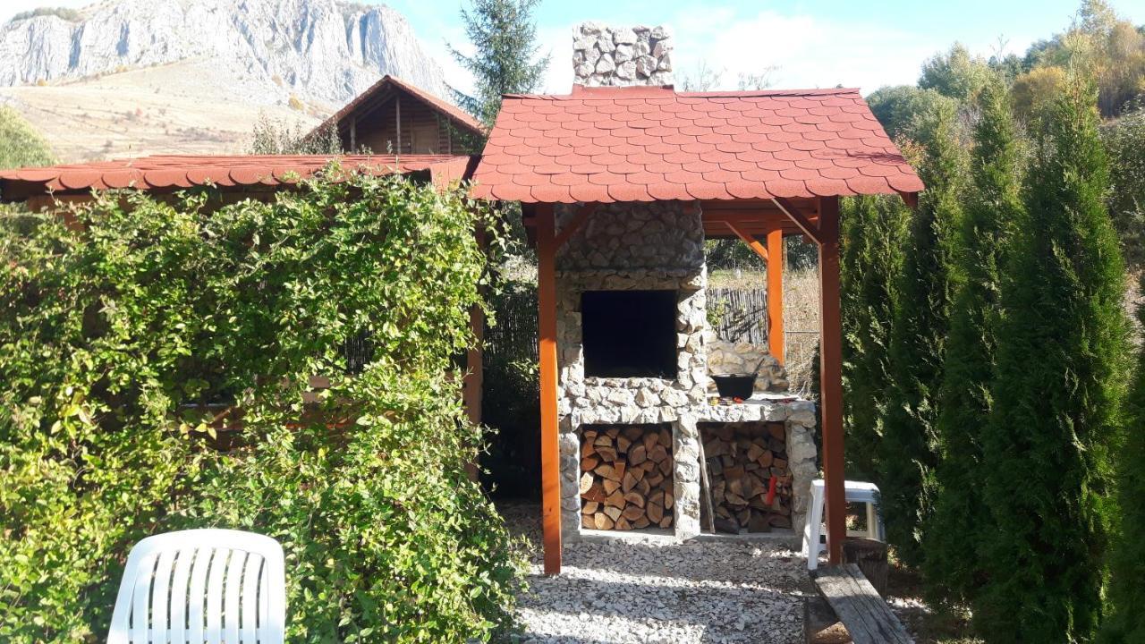 Studiouri Valisoara Dış mekan fotoğraf