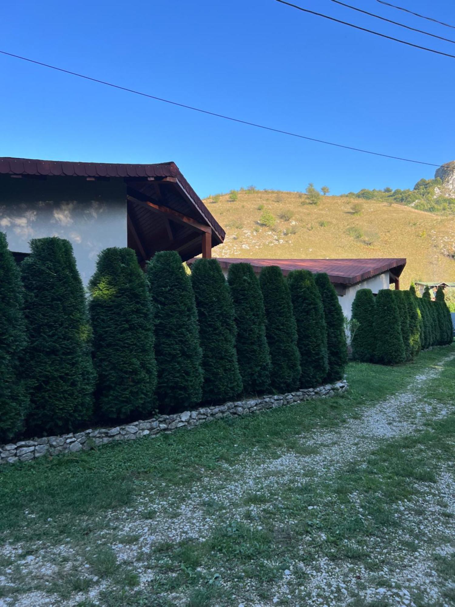 Studiouri Valisoara Dış mekan fotoğraf