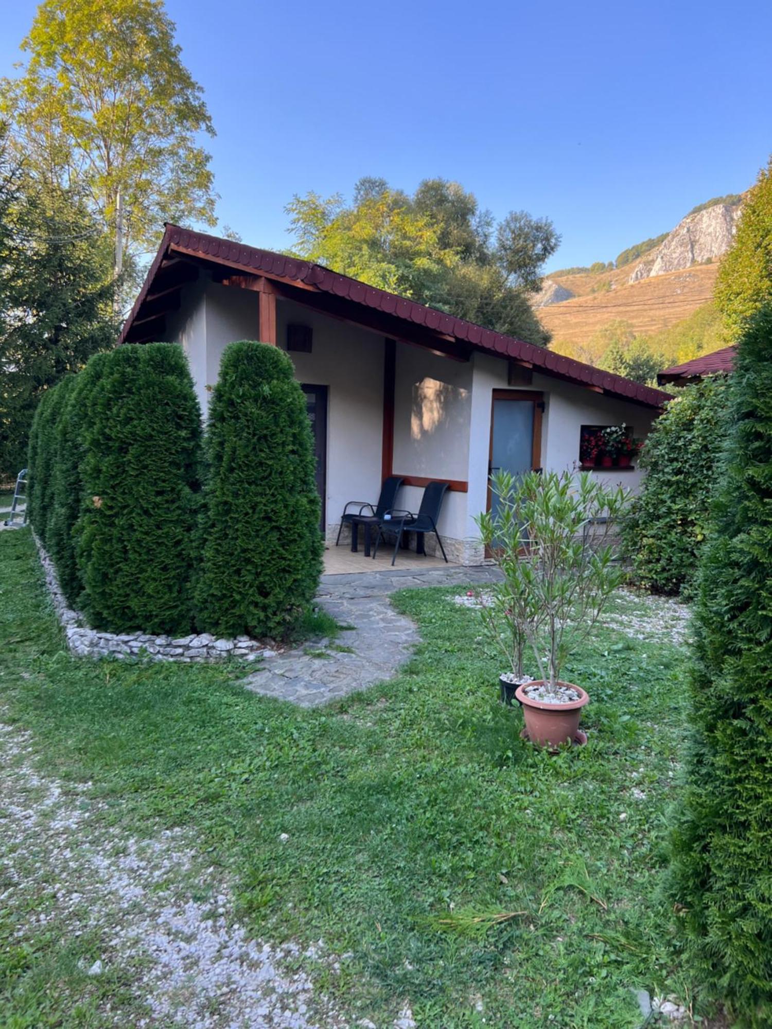 Studiouri Valisoara Dış mekan fotoğraf
