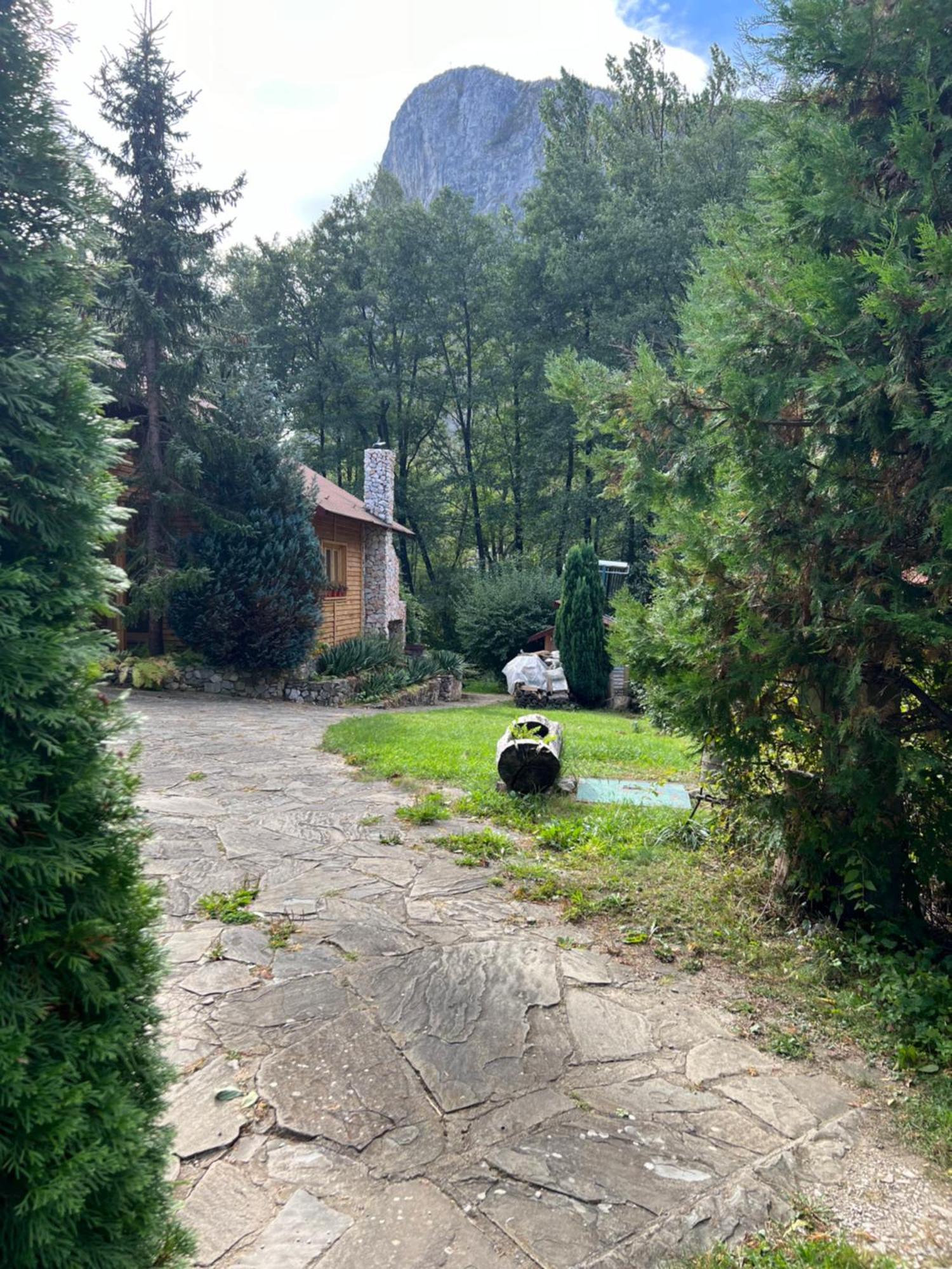Studiouri Valisoara Dış mekan fotoğraf