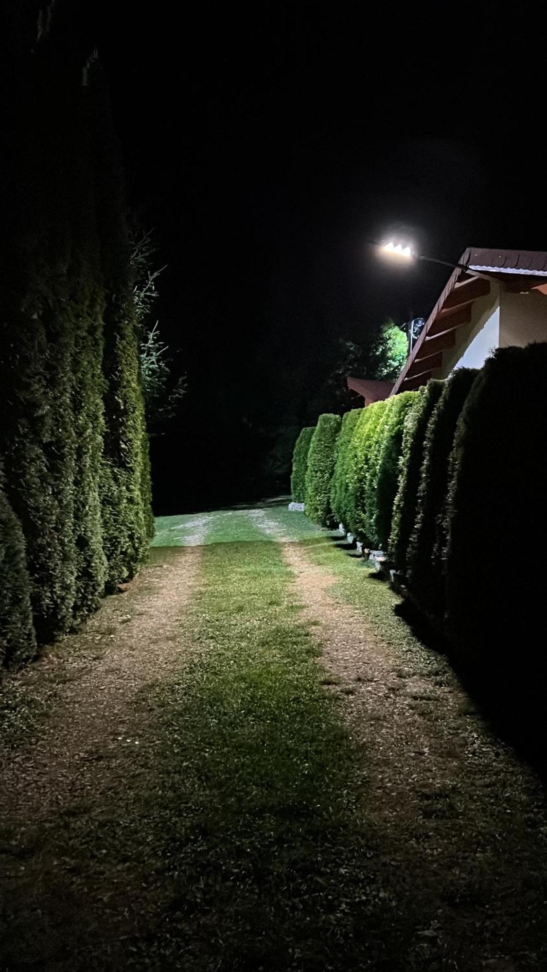 Studiouri Valisoara Dış mekan fotoğraf