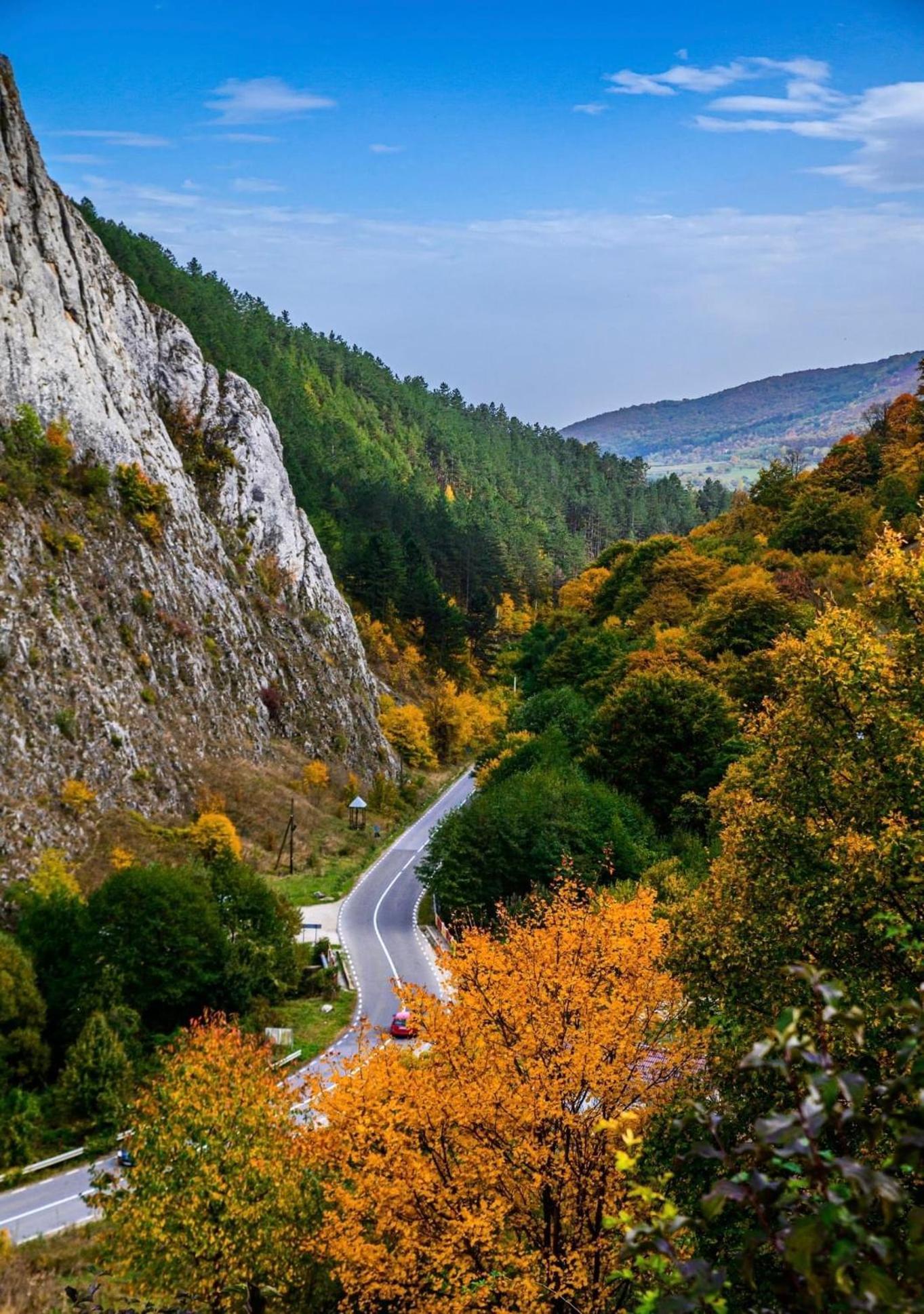 Studiouri Valisoara Dış mekan fotoğraf