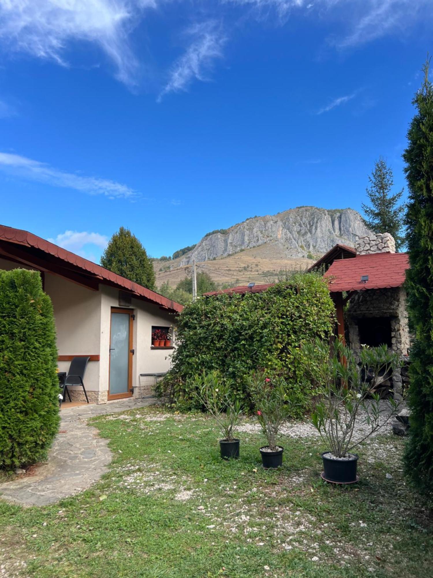 Studiouri Valisoara Dış mekan fotoğraf