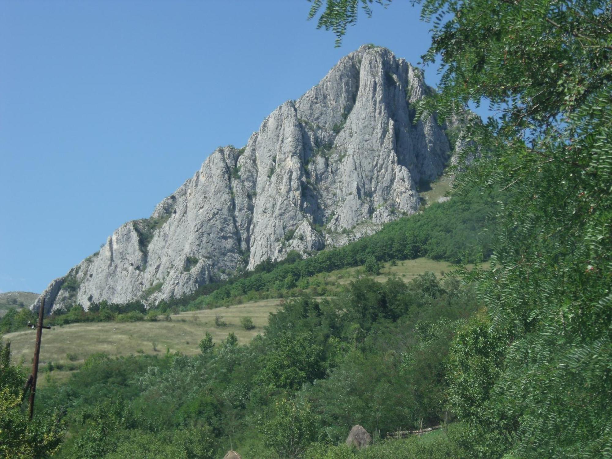 Studiouri Valisoara Dış mekan fotoğraf