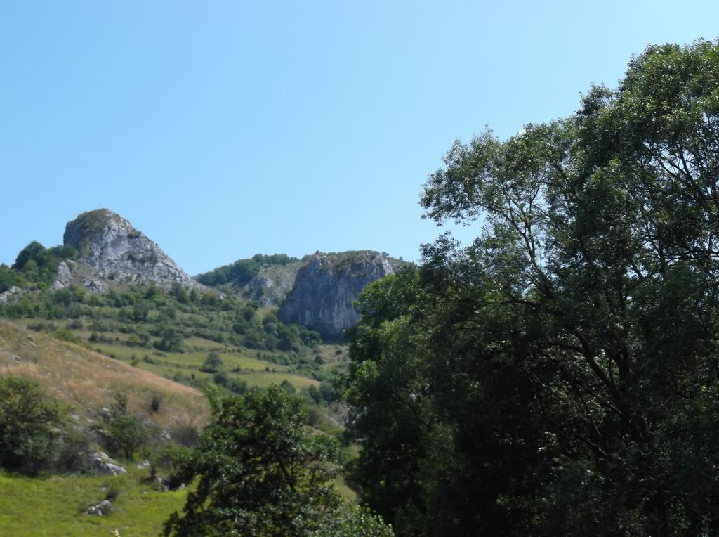 Studiouri Valisoara Oda fotoğraf