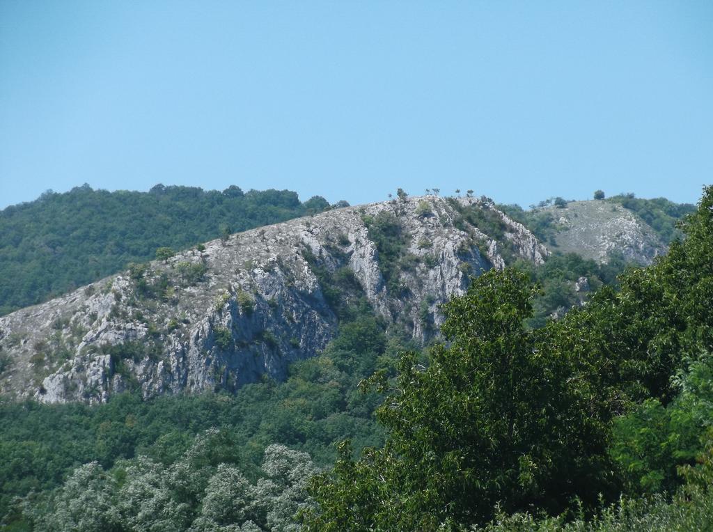 Studiouri Valisoara Oda fotoğraf