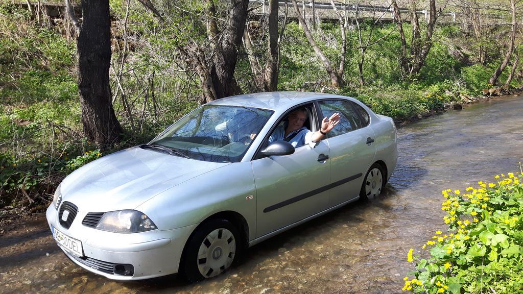 Studiouri Valisoara Dış mekan fotoğraf