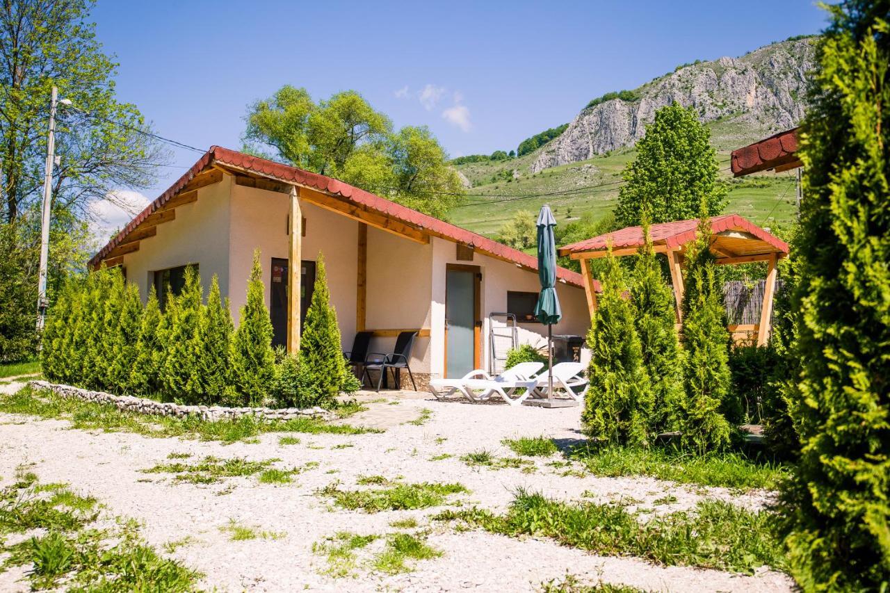 Studiouri Valisoara Dış mekan fotoğraf