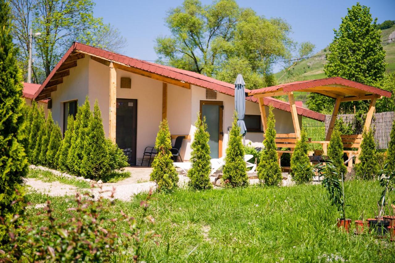 Studiouri Valisoara Dış mekan fotoğraf