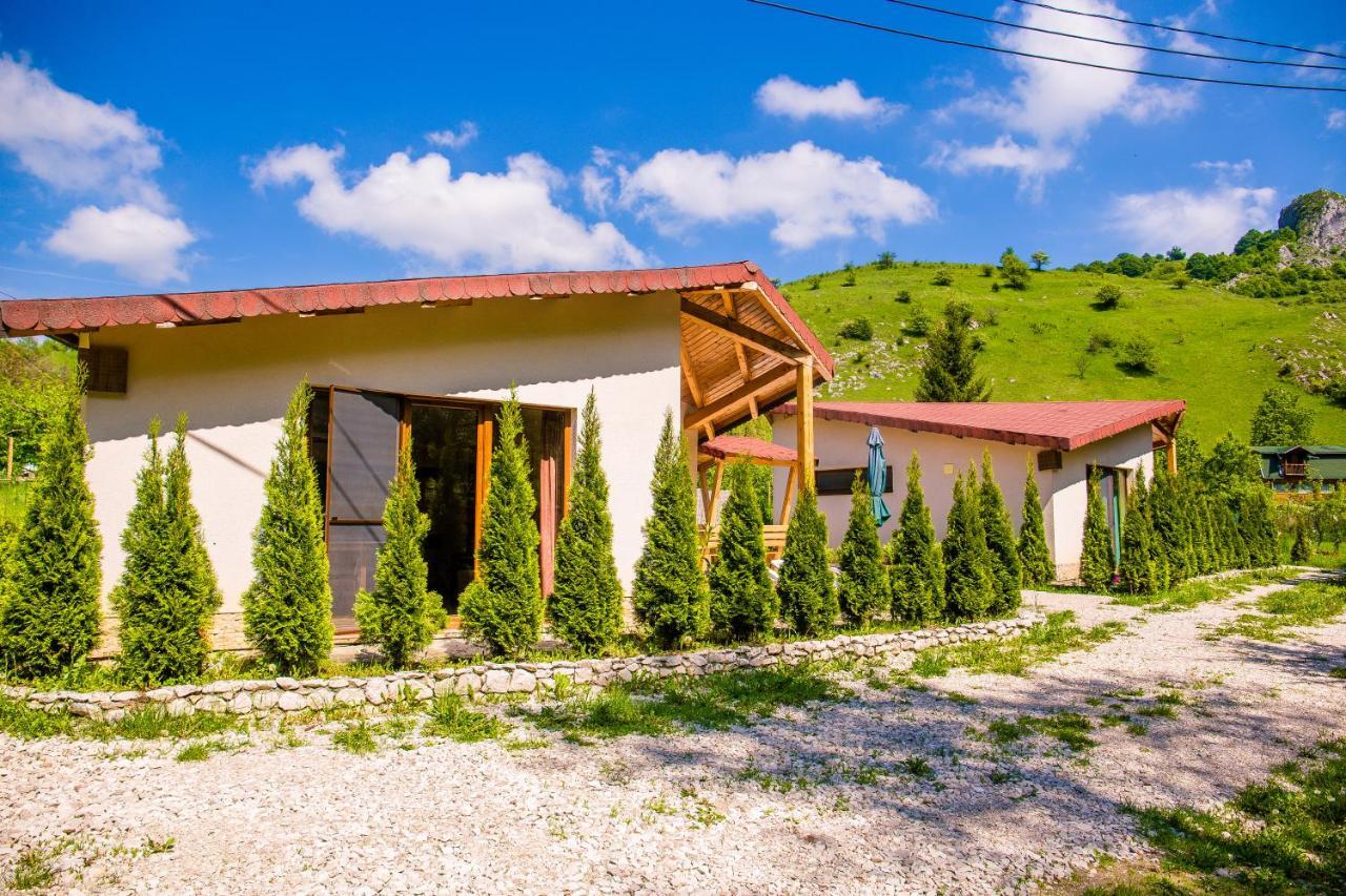Studiouri Valisoara Dış mekan fotoğraf